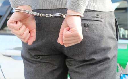 మొబైల్ చోరీ చేస్తే రూ. 25 వేల జీతం.. 45 రోజుల శిక్షణ కూడా!