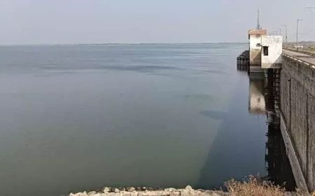 అడుగంటిన జూరాల జలాశయం