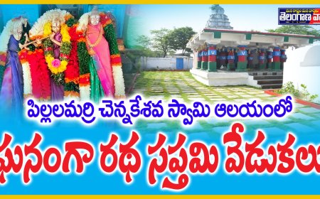 పిల్లలమర్రిలో ఘనంగా రథ సప్తమి వేడుకలు 