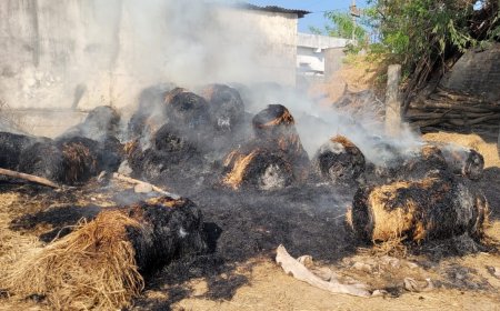 ప్రమాదవశాత్తు గడ్డివాము దగ్ధం