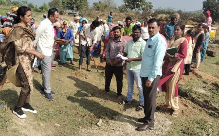 ఉపాధి పనులు తనిఖీ చేసిన డి ఆర్ డి ఓ పి డి