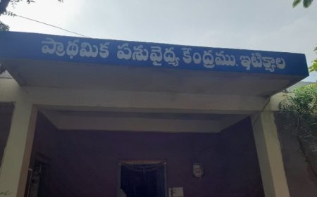 పశువులకు గాలికుంటు వ్యాధి (ఎఫ్ఎండి )నివారణ టీకాలను సద్వినియోగం చేసుకోవాలి మండల ప్రజలు