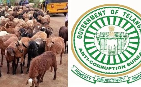 గొర్రెల స్కాం కేసులో నలుగురు నిందితులను చంచల్ గూడ జైలు నుండి కస్టడీలోకి తీసుకున్న ఏసీబీ...