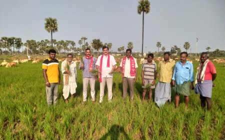 ఎండిపోయిన వరి పంట రైతులను ఆదుకోవాలని