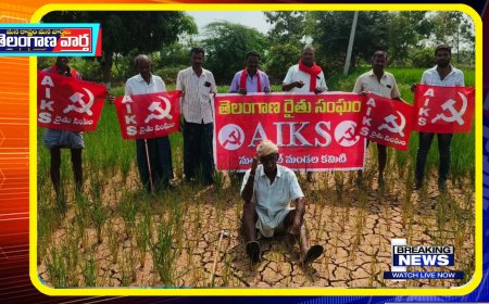 ఎండిపోయిన వరి పంటకు ఎకరాకు 20వేల చొప్పున నష్టపరిహారం చెల్లించాలి