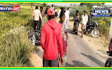 ఎదురెదురుగా రెండు వాహనాలు ఢీ