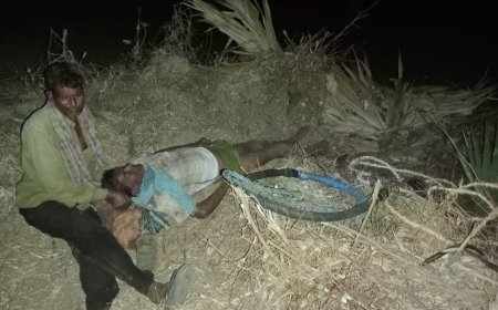 తాడి చెట్టుపై నుంచి పడి గీతన్నకు తీవ్రంగా గాయాలు