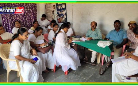 ప్రభుత్వ ఆస్పత్రిలోనే కాన్పులు జరగాలి