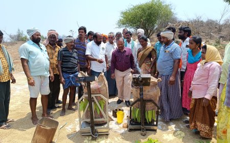 ధాన్యం కొనుగోలు కేంద్రం ప్రారంభం