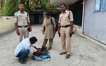 కుక్కల దాడిలో నెమలి మృతి... ఫారెస్ట్ అధికారులకు అప్పగించిన పోలీసు అధికారులు
