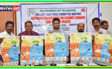 వడదెబ్బకు గురికాకుండా జాగ్రత్తలు తీసుకోవాలి : అదనపు కలెక్టర్ అభిషేక్ అగస్త్య