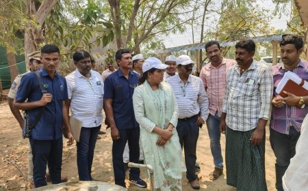 ధాన్యం కొనుగోలు కేంద్రాన్ని  తనిఖీ చేసిన జిల్లా కలెక్టర్ డాక్టర్ ప్రియాంక అలా.