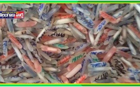 బియ్యపు గింజ పై శ్రీరామ నామం