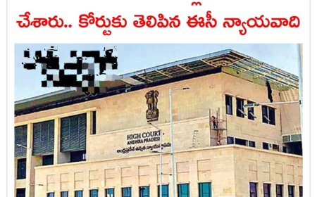 ఏపీలో వాలంటీర్ల రాజీనామాల పిటిషన్‌పై బుధవారం హైకోర్టులో విచారణ జరిగింది