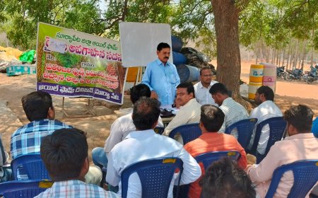 ఆయిల్ పామ్ సాగు పై అవగాహన కలిగివుండాలి.....జిల్లా ఉద్యాన అధికారి నాగయ్య