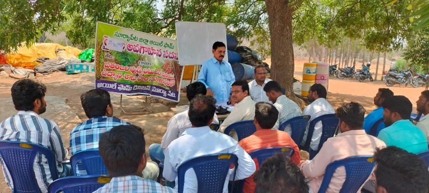 ఆయిల్ పామ్ సాగు పై అవగాహన కలిగివుండాలి.....జిల్లా ఉద్యాన అధికారి నాగయ్య