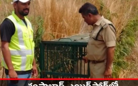 శంషాబాద్ ఎయిర్ పోర్టులో కొనసాగుతున్న చిరుత ఆపరేషన్