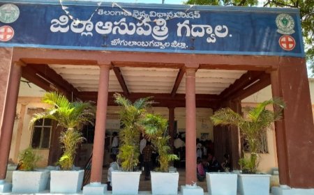 మేము ,, సర్కారు దవఖానంకు వెళ్ళాం బాబోయ్.