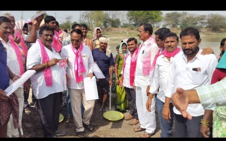 రేపాల గ్రామంలో టిఆర్ఎస్ ఎన్నికల జోరు గా ప్రచారం......