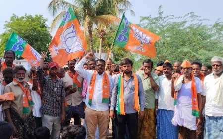 ఇంటింటికి తిరిగి ప్రచారం చేస్తున్న ఐజ బీజేపీ నాయకులు ... 