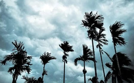 జూన్ 5 నుంచి 11 మధ్య రాష్ట్రంలోకి నైరుతి రుతుపవనాలు