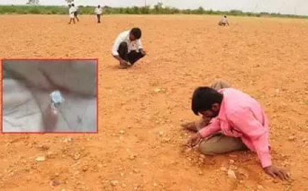 కర్నూలు: రైతుకి పొలంలో దొరికిన విలువైన వజ్రం..