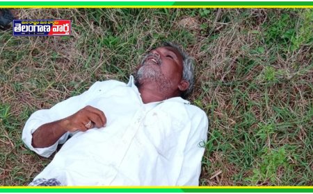 విద్యుత్ షాక్ తో రైతు మృతి....