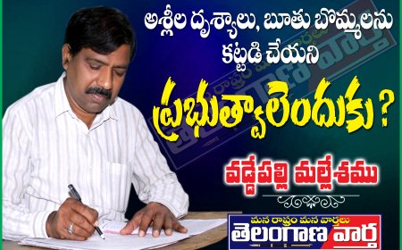 అశ్లీల దృశ్యాలు, బూతు బొమ్మలను  కట్టడి చేయనీ ప్రభుత్వాలెoదుకు ?