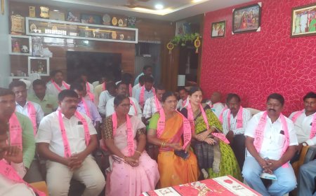 ఆరోపణలు కాదు?వాస్తవాలను బయటికి తీయండి!