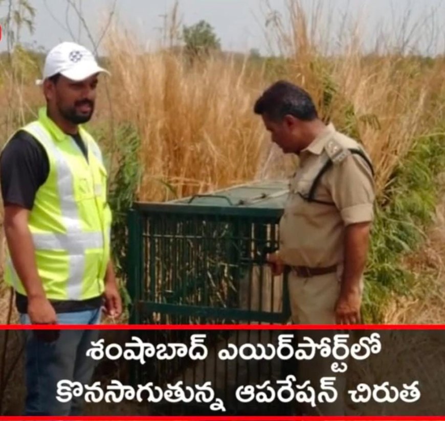 శంషాబాద్ ఎయిర్ పోర్టులో కొనసాగుతున్న చిరుత ఆపరేషన్