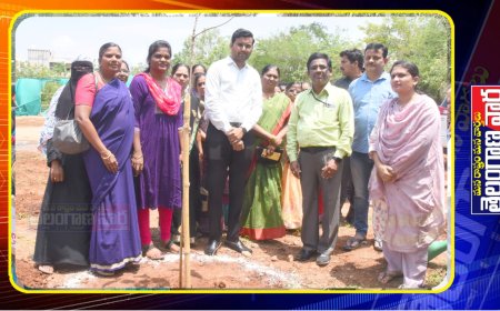 ప్రతి ఒక్కరూ మొక్కలు నాటాలి కలెక్టర్.