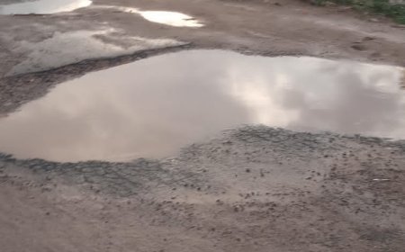 మడుగును తలపిస్తున్న ఐజ రోడ్లు.