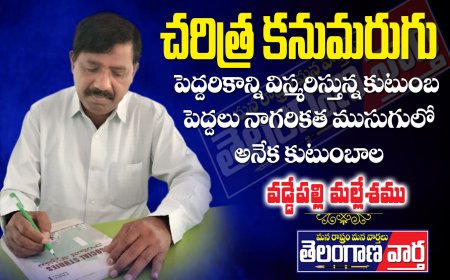 పెద్దరికాన్ని విస్మరిస్తున్న కుటుంబ పెద్దలు.