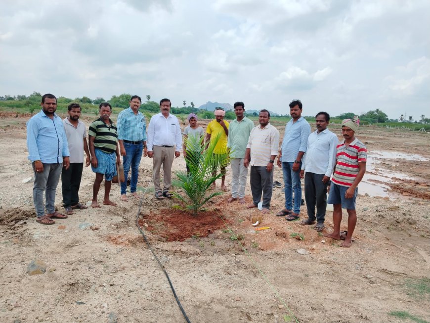 నీటి వసతి ఉన్న రైతులు ఆయిల్ ఫామ్ సాగు చేయాలి 