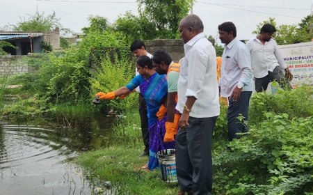 దోమల లారా నివారణకు ఆయిల్ బల్స్ చేసిన