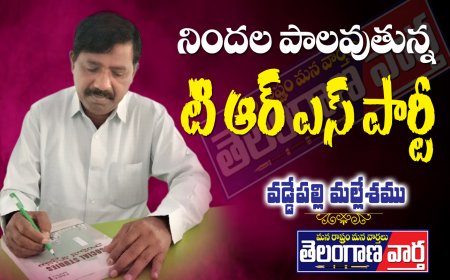 నిందల పాలవుతున్న టిఆర్ఎస్ పార్టీ