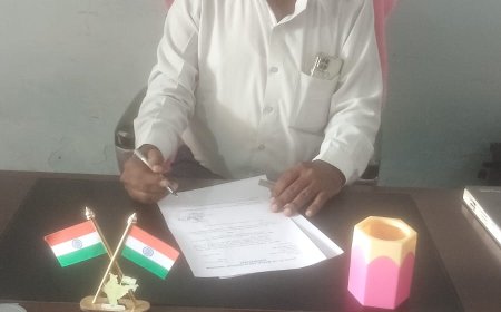 మండల స్పెషల్ ఆఫీసర్ గా   అశోక్