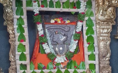 ఘనంగా అమావాస్య పూజలు.