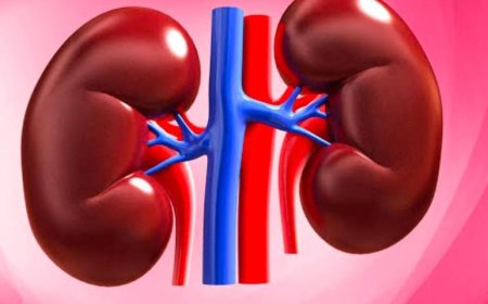 భారీ కుంభకోణం....కిడ్నీ మార్పిడి చేస్తామంటూ రూ. 10లక్షలు వసూలు.. తీరా చూస్తే జంప్..!