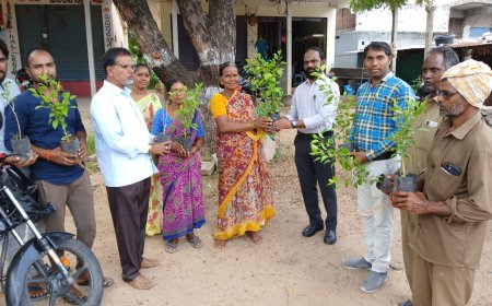 పారిశుద్దాన్ని మెరుగు పరచండి.డీ పీ ఓ