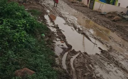 గ్రామంలో పడకేసిన పారిశుద్ధం