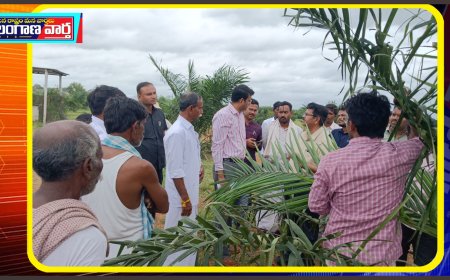 అధిక ఆదాయాన్నిచ్చే ఆయిల్ ఫామ్ సాగుపై రైతులకు అవగాహన కల్పించాలి కలెక్టర్ .