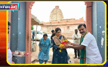 అలంపూర్ ఆలయాలు దర్శించుకున్న నారాయణపేట జిల్లా కలెక్టర్