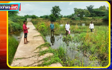 ధ్వంసమైన చెక్ డ్యాం  కాలువ, కట్ట కింద లీకేజీ
