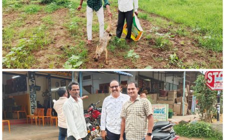 మానవత్వంతో మూగజీవాన్ని కాపాడిన రిపోర్టర్ 