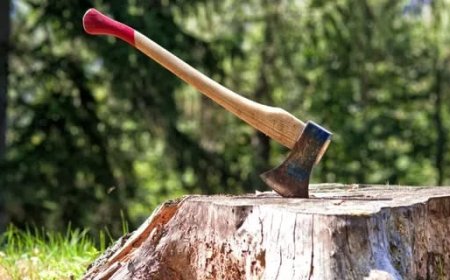 విడాకులు కోరిన మహిళ.. కాళ్లు నరికేశారు