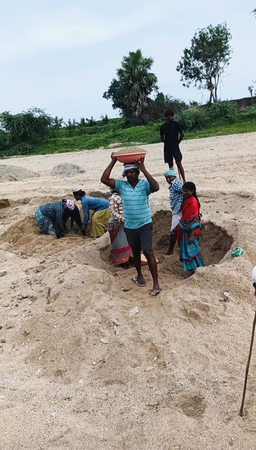 జోరుగా ఇసుక దందా