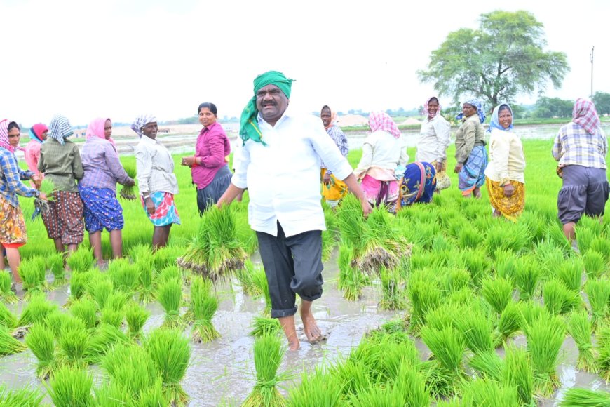 కూలీలతో కలిసి పనిచేస్తున్న తుంగతుర్తి ఎమ్మెల్యే మందుల సామేల్ మన పని మనమే చేసుకోవాలి!