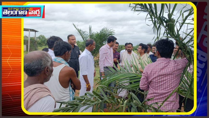 అధిక ఆదాయాన్నిచ్చే ఆయిల్ ఫామ్ సాగుపై రైతులకు అవగాహన కల్పించాలి కలెక్టర్ .