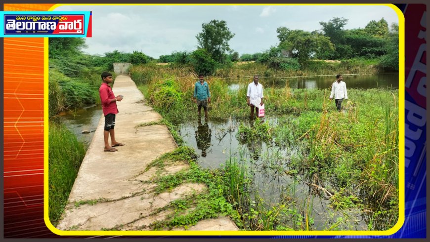 ధ్వంసమైన చెక్ డ్యాం  కాలువ, కట్ట కింద లీకేజీ 